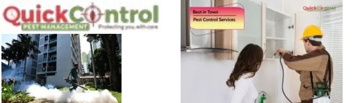 Pest Control Services,Cockroaches & Ant Pest Control Services,Rodent Control Treatment,Rodent Pest Control Service,Pest Control Services For Home,Bed Bugs Control Services,General Insect Pest Control Service