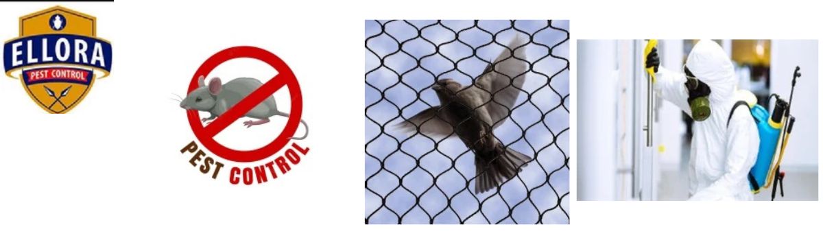 Pest Control Services,Pest Control Services, Net Installation Service, Office Termite Treatment Services,Pigeon Bird Net Services,Sports Net Installation Services,Cockroach Pest Control Services